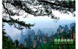 【純玩獨立成團線路1】張家界、袁家界、天子山、寶峰湖/黃龍洞二晚三日