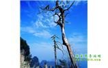湘西之旅：張家界、天子山、寶峰湖/黃龍洞、鳳凰古城、猛洞河漂流、天門山六日游