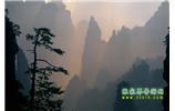 張家界國家森林公園、寶峰湖/黃龍洞、鳳凰古城、三峽八日游