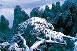 【純玩拼團(tuán)線路18】下午班：鳳凰古城、張家界、天子山三晚四日游