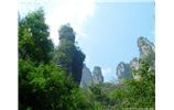 【純玩拼團(tuán)線路 張家界出發(fā)A2線】張家界、袁家界、天子山、金鞭溪、鳳凰古城2晚3日游